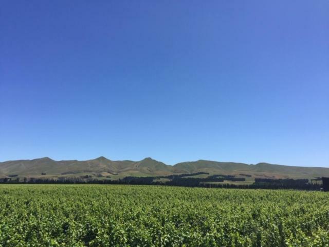 Romantic Vineyard Getaway Waipara Экстерьер фото
